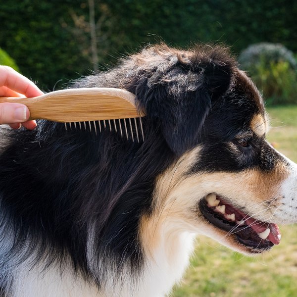 Wide Tooth Rotating Comb Smart Garden Products