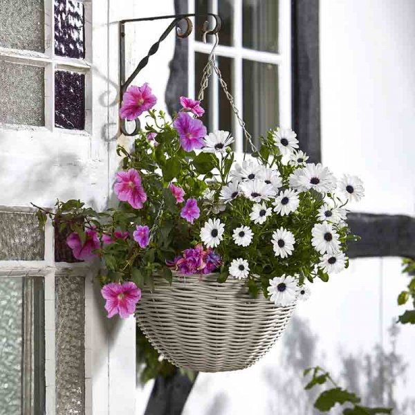 14in Seashell Faux Rattan Hanging Basket : Smart Garden Products
