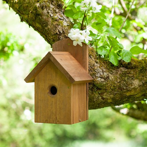 Chapelwood Smart Garden Products