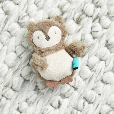 Nip-it Hooting Owlet