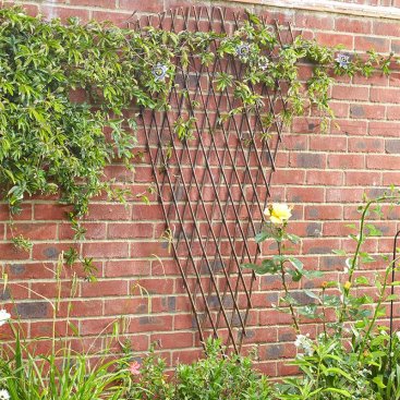 Exp Fan Willow Trellis 1.8x0.9m