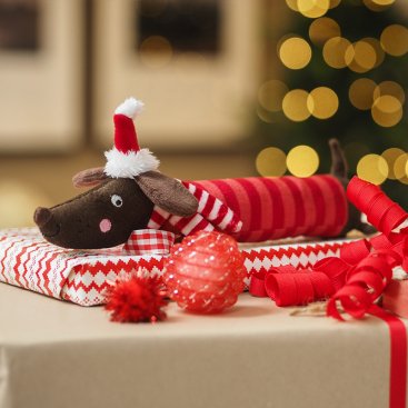 Festive Frankie Sausage PlayPal