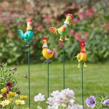 Cockadoodles Loony Stakes, Mixed Case