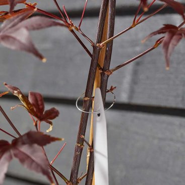 Galvanised Plant Rings 100pk