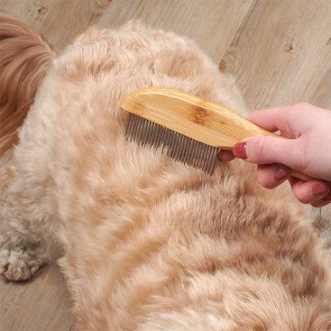 Fine Tooth Rotating Comb