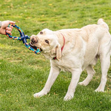 Uber-Activ 8 - Tugger