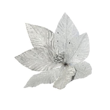 Sensational Silvers Clip - Style 3