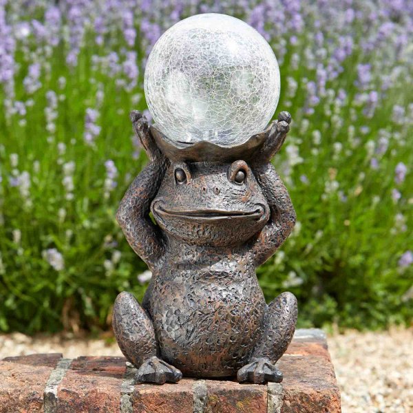 frog garden gazing smart solar toad bright eyes mr light selections additional figurines notonthehighstreet