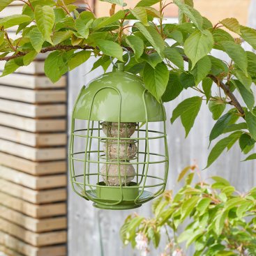Compact Squirrel Proof Feeders