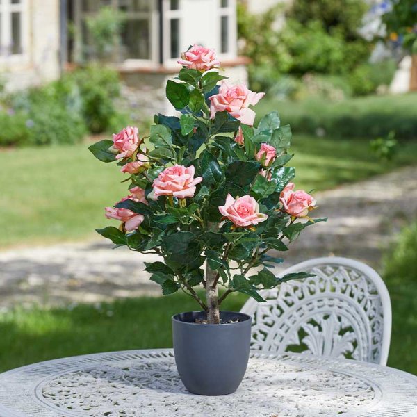Regent's Roses 60cm - Perfect Pink : Smart Garden Products