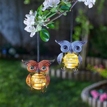 Owl Lights, POS 12