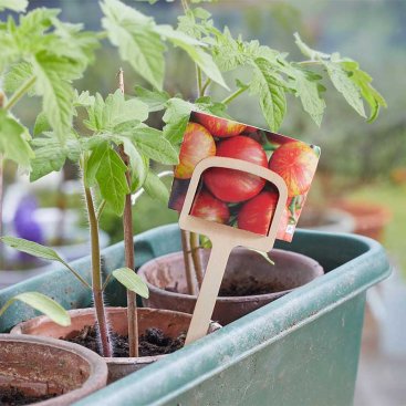 12.5 cm Wooden T Labels, 10pk, FSC1