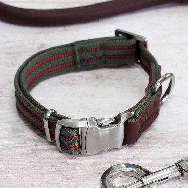 Primo - Olive - M - Walkabout Dog Collar (31cm-47cm)