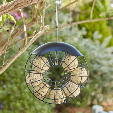 Ring Suet Ball Feeder