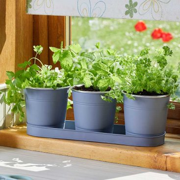 Windowsill Herb Pots - Slate Windowsill Herb Pots - Slate