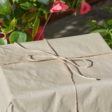 100g Sisal TuffTwine