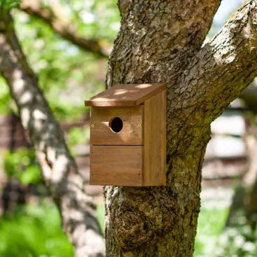 Classic Nest Box, FSC1