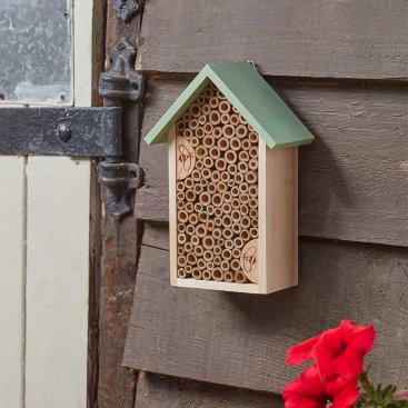 Bee Hotel, FSC1