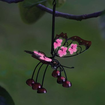 Papillon Pendant, Mixed Case