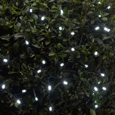 Classic String Lights