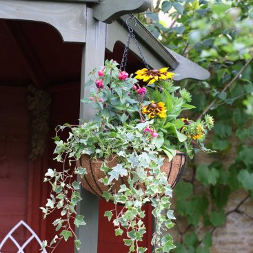 14in Smart Hanging Basket 14in Smart Hanging Basket