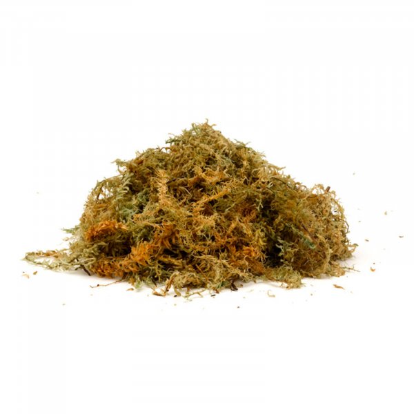 New Zealand Sphagnum Moss Large Smart Garden Products