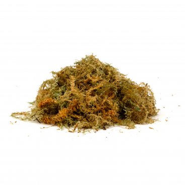 Sphagnum Moss - Jumbo Sphagnum Moss - Jumbo