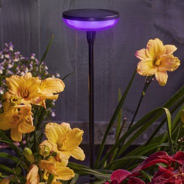 Hygge Stake - Colour Changing