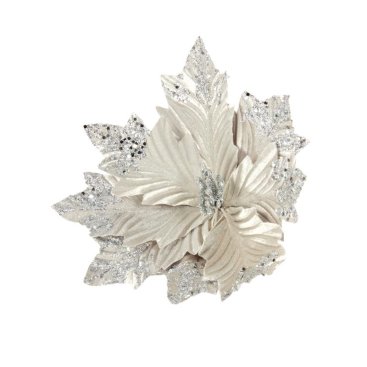 Sensational Silvers Clip - Style 4