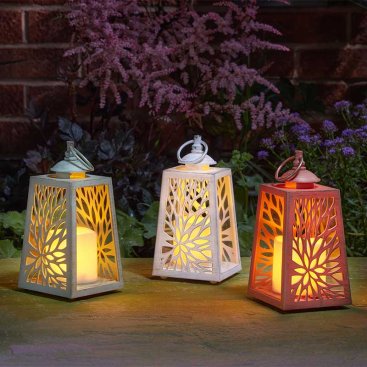 Cornish Lantern, Mixed Case