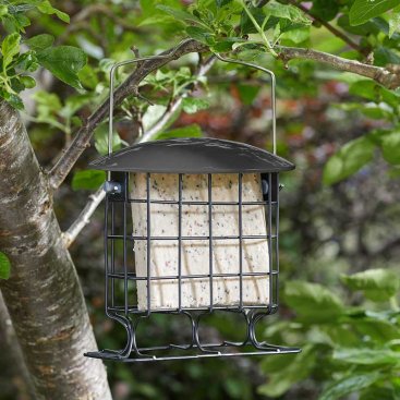 Supreme Suet Cake Feeder